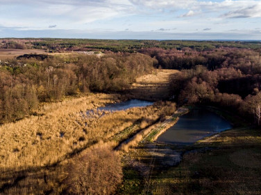 Działka budowlana Żary sprzedam