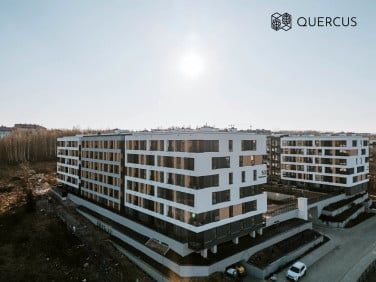Quercus