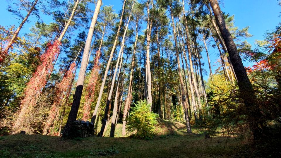 Działka budowlana Konstancin-Jeziorna