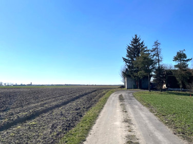 Działka Papowo Toruńskie