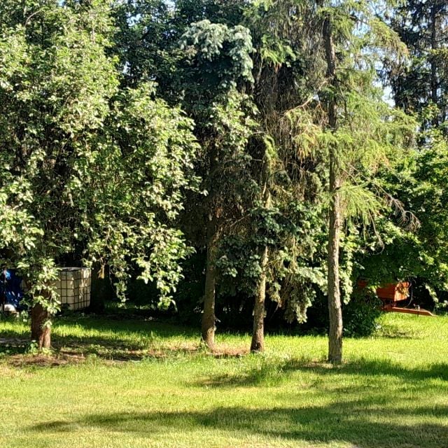 Zdjęcie 2