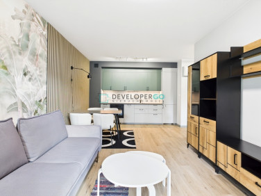 Mieszkanie apartamentowiec wynajem
