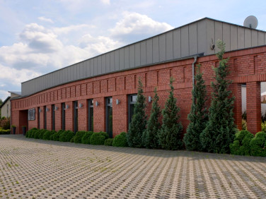 Lokal Poznań wynajem
