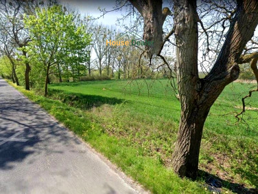 Działka Młodasko