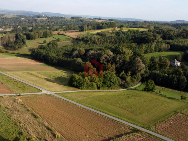 Działka Dębowa