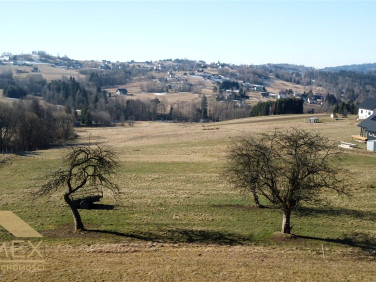 Działka budowlana Istebna sprzedam