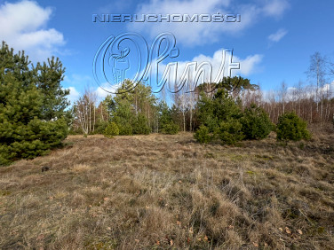 Działka nad morzem