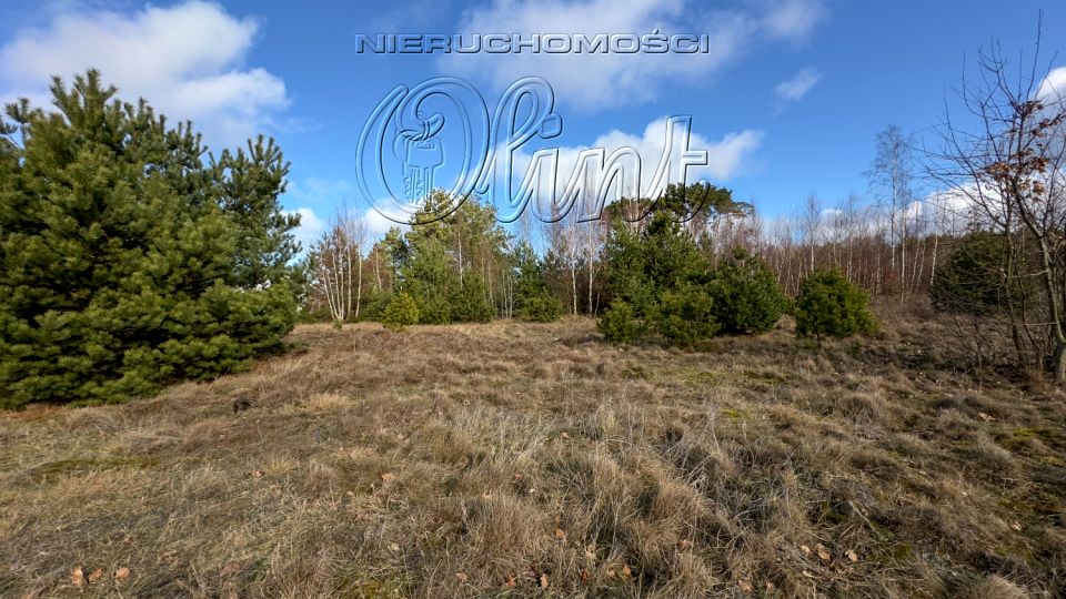 Działka nad morzem