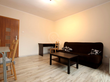 Mieszkanie Wrocław wynajem