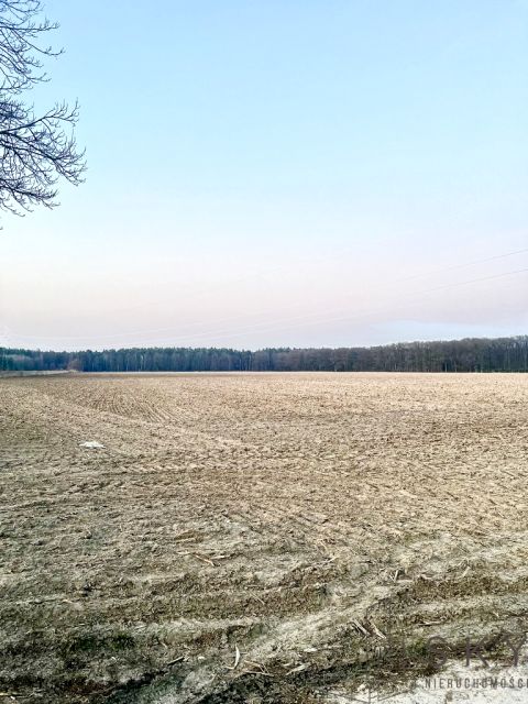 Działka przemysłowa Sanie