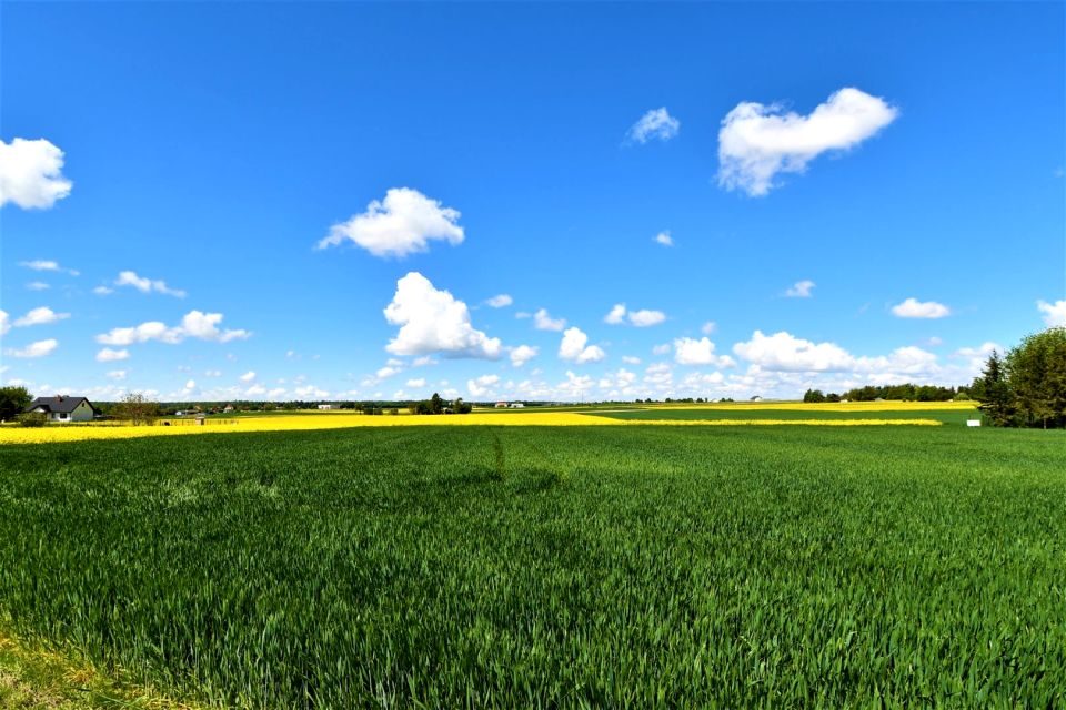 Działka Wierzchowiska