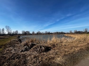 Działka Czernichów