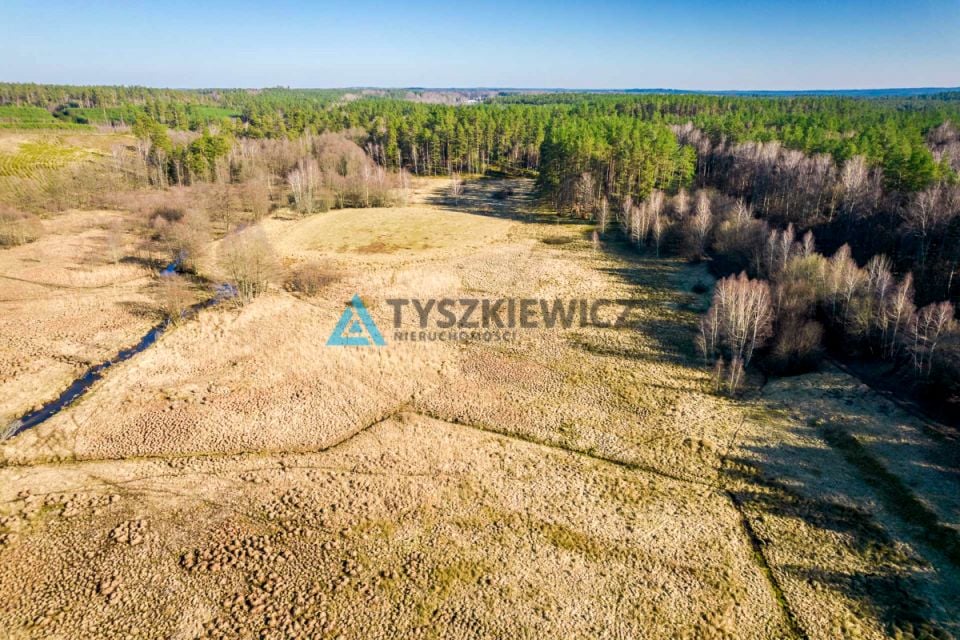 Zdjęcie 3
