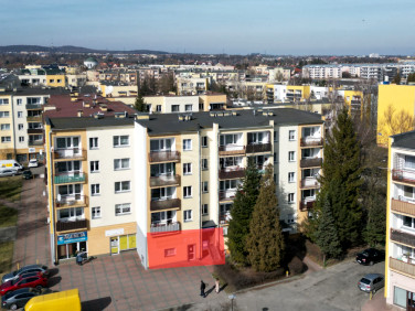 Lokal Chełm