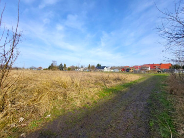 Działka rekreacyjna Koszewo sprzedam