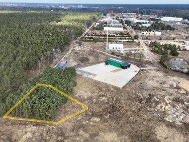 Działka przy lesie