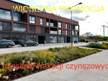 Lokal Gdańsk wynajem