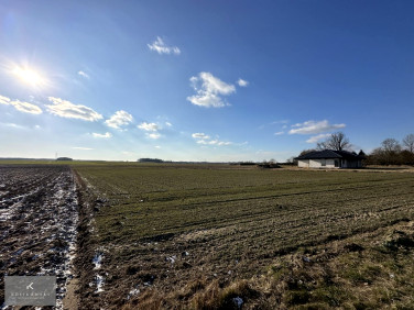 Działka Koza Wielka