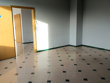 Lokal Sękocin Nowy