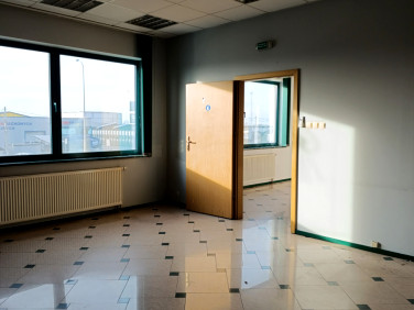 Lokal Sękocin Nowy
