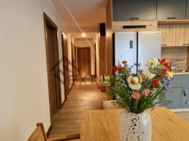 Mieszkanie Wrocław wynajem