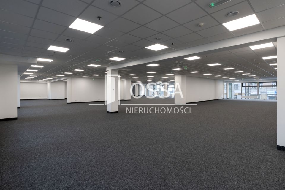 Lokal Gdynia