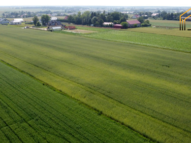 Działka Wilczopole-Kolonia