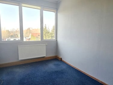 Lokal Elbląg