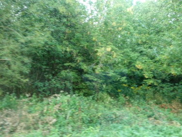 Działka budowlano-rolna sprzedam