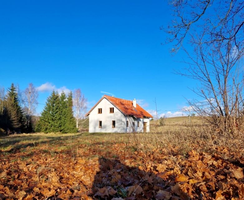 Dom Radosty sprzedaż