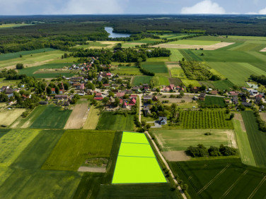 Działka Warnice