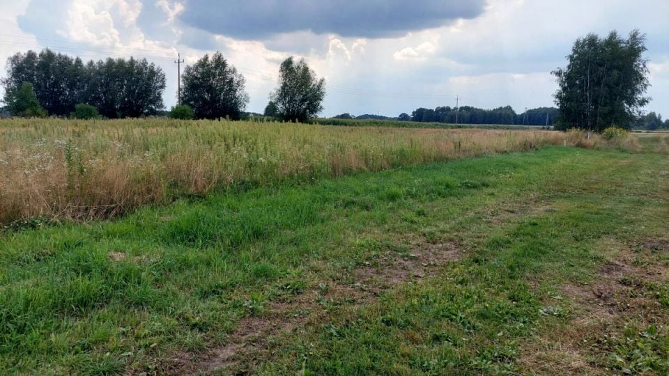 Działka Nowy Dworek