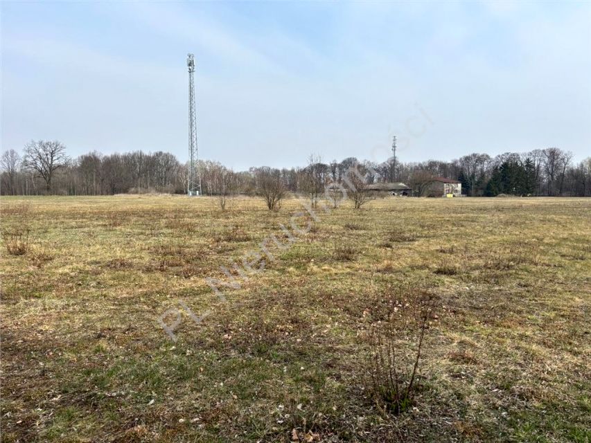 Działka Odrano-Wola