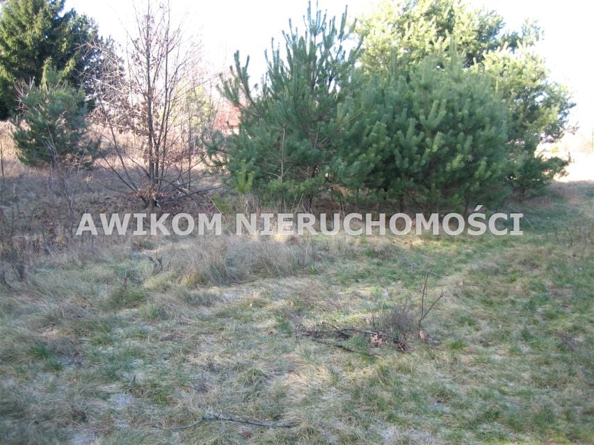 Zdjęcie 3