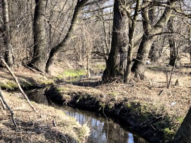 Działka Żywiec