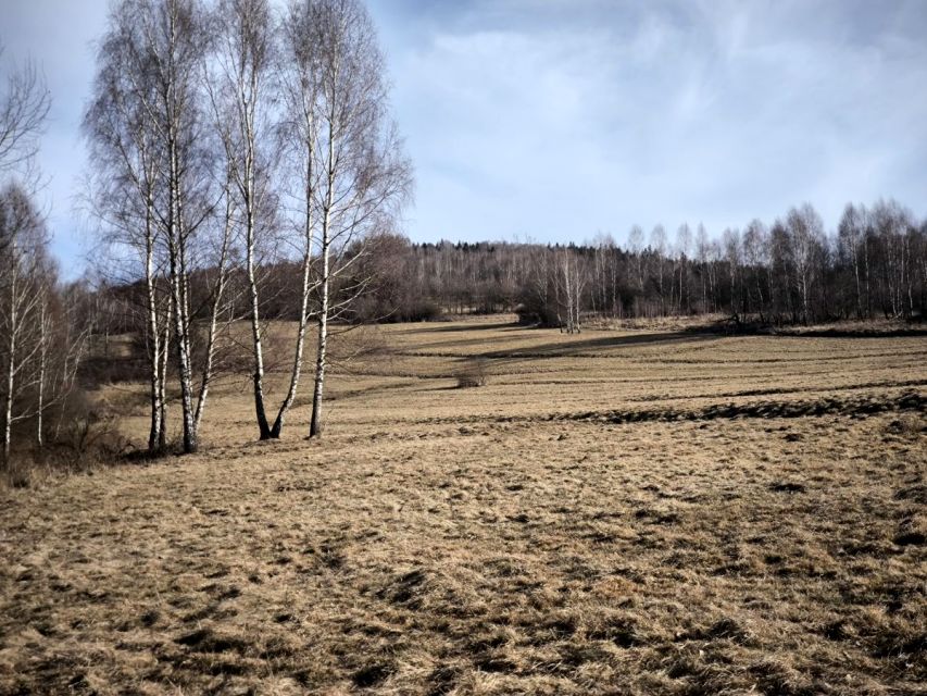 Działka rolna Cisiec sprzedam