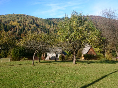 Dom Rajcza