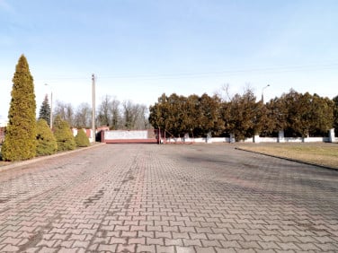 Działka Gniezno