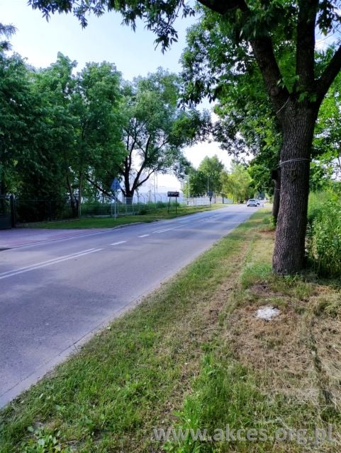 Zdjęcie 2