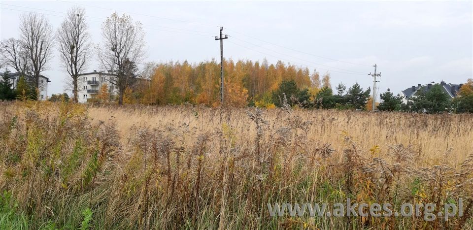 Działka budowlana Chrzanów Mały