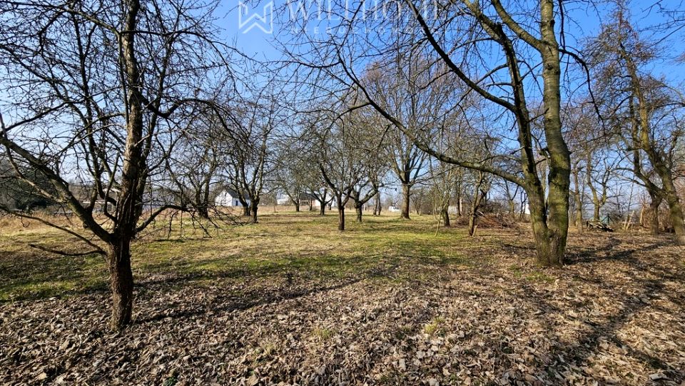 Działka Trzebnica