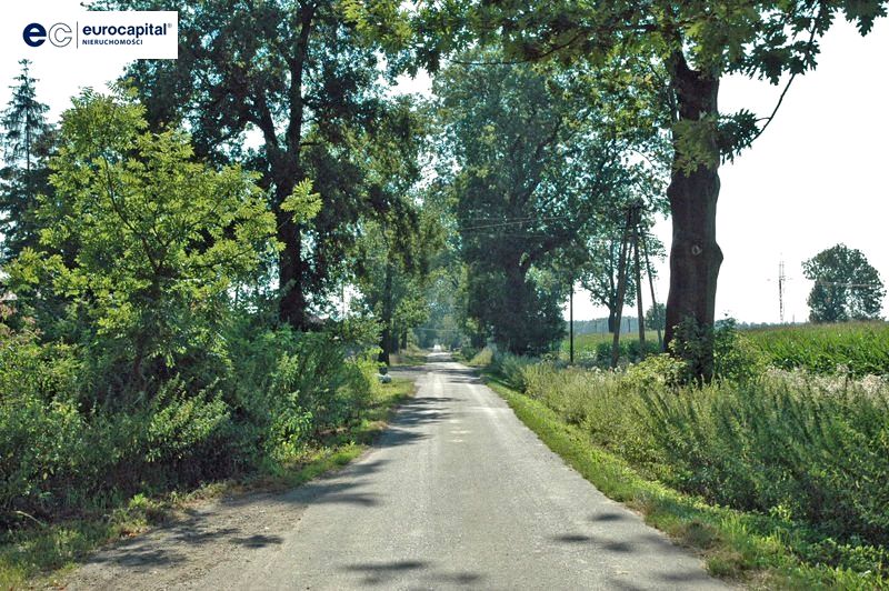 Działka Drogomyśl