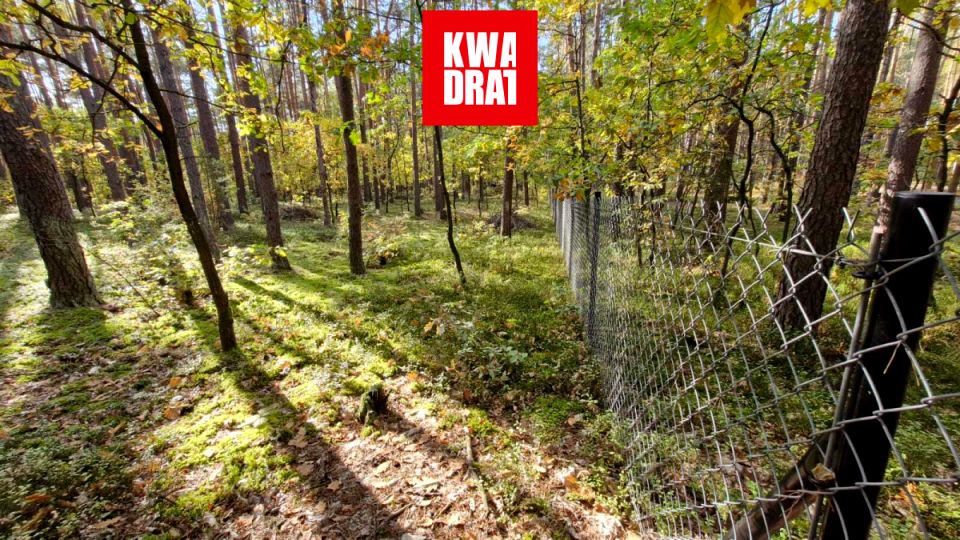 Działka Osiedle Wilga