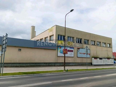 Lokal Strzelin wynajem