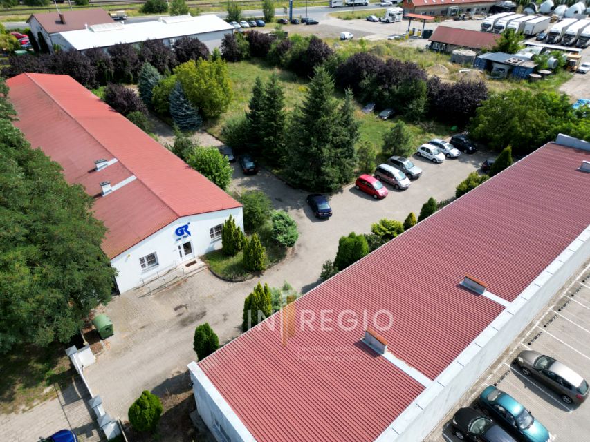 Lokal Koło
