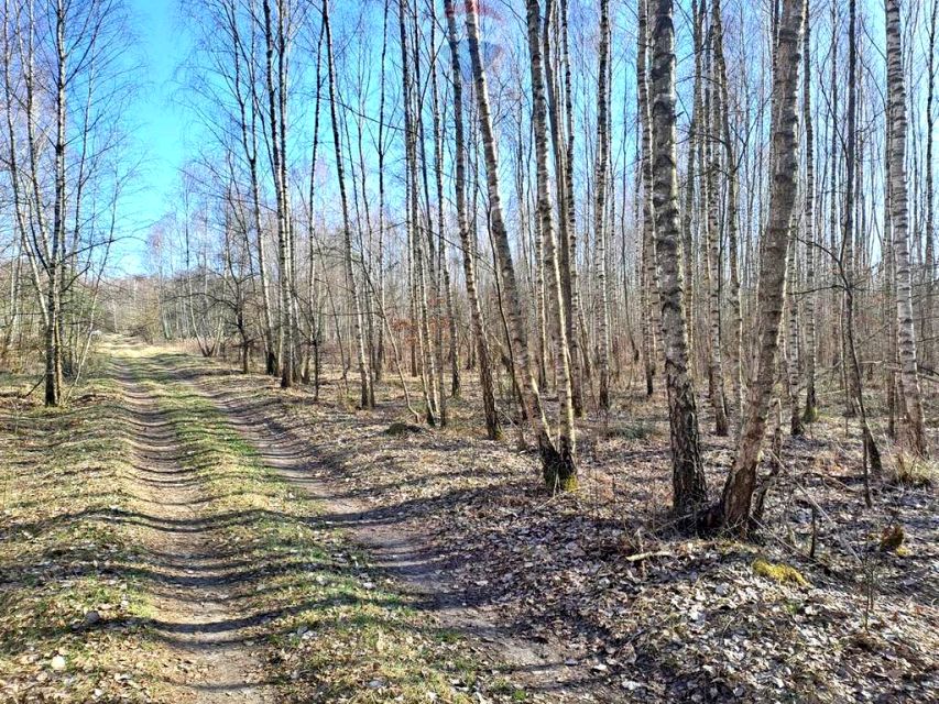 Działka rolna Sosnowe