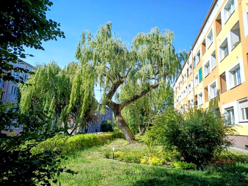 Mieszkanie Częstochowa sprzedaż
