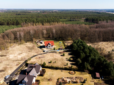 Działka przy lesie