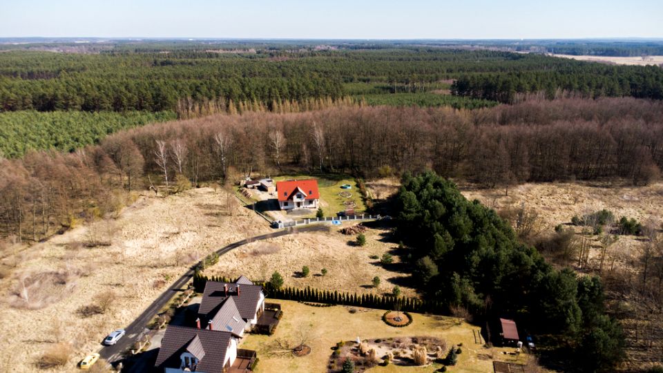 Działka przy lesie