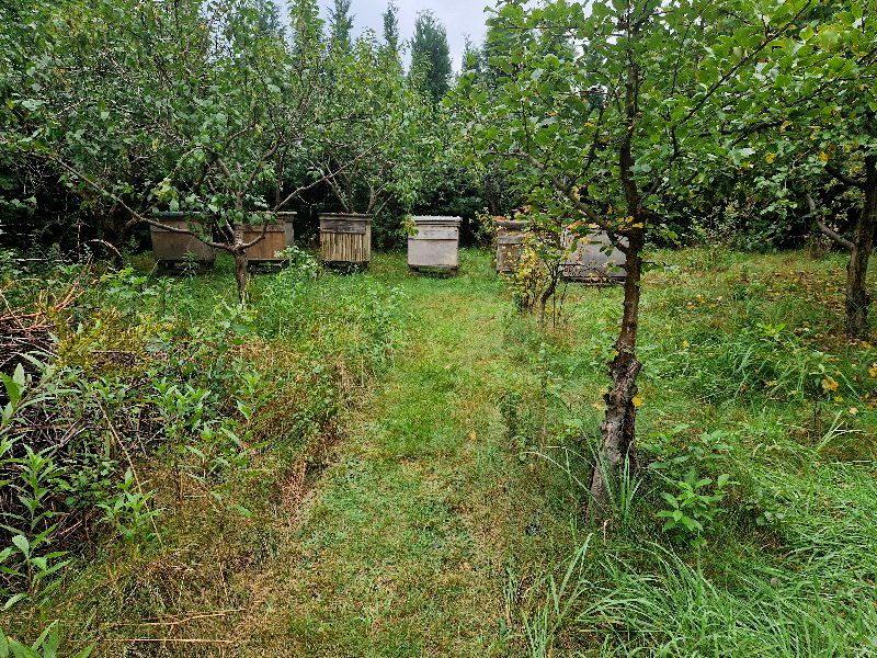 Działka budowlana sprzedam